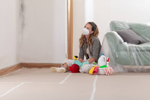 Reliable Mold Testing contractor in Freeland, PA by WQB Mold Removal